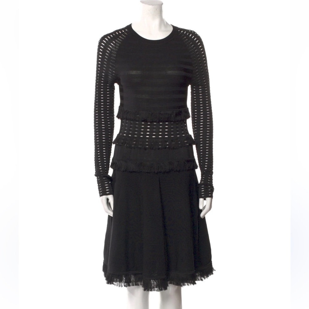 Jason Wu Fringe Mesh Long Sleeve A-line Holiday Dress